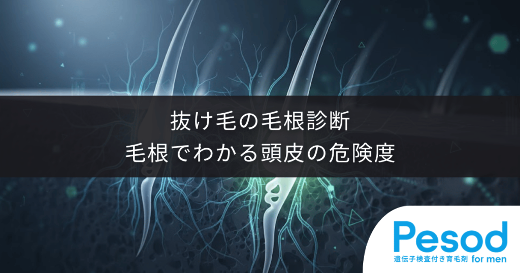 抜け毛の毛根診断｜白い・黒い・細い毛根でわかる頭皮の危険度