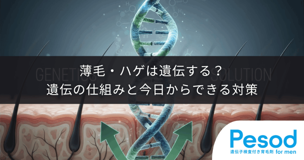 薄毛・ハゲは遺伝する？遺伝の仕組みと今日からできる対策