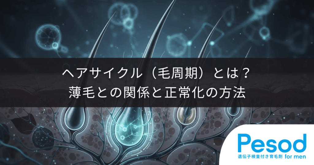 ヘアサイクル（毛周期）とは？薄毛との関係と正常化の方法