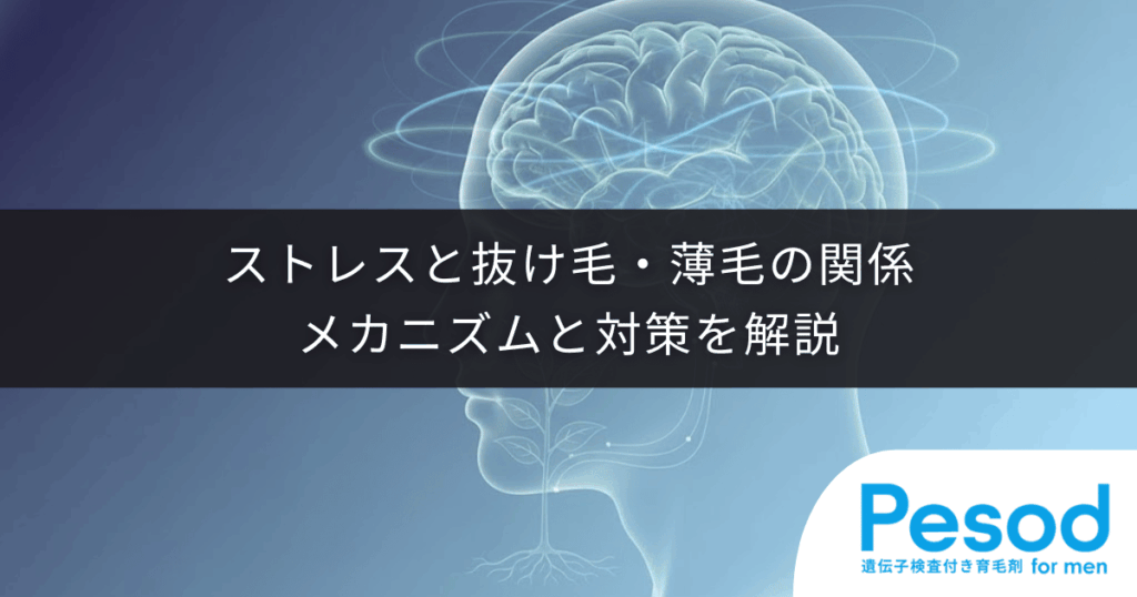 ストレスと抜け毛・薄毛の関係｜メカニズムと対策を解説