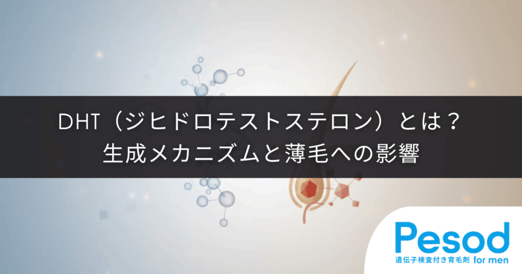 DHT（ジヒドロテストステロン）とは？生成メカニズムと薄毛への影響