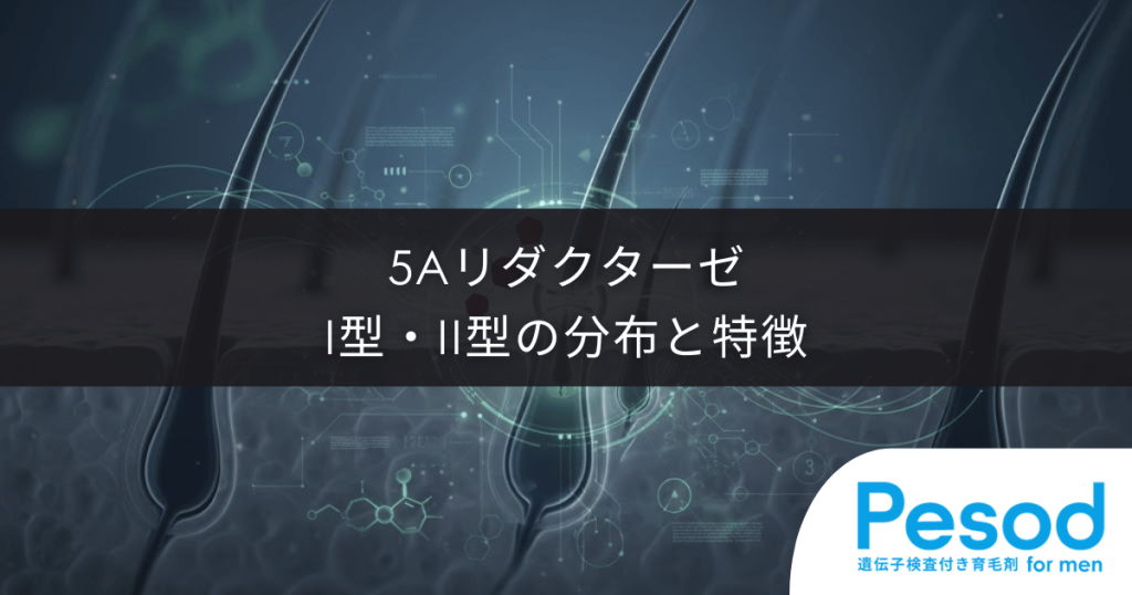 5αリダクターゼI型・II型の分布と特徴｜前頭部と頭頂部が狙われる酵素の配置図