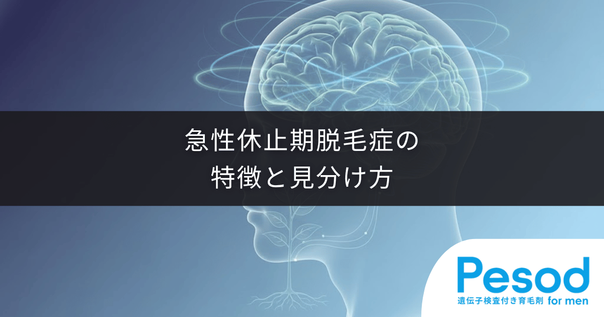 急性休止期脱毛症の特徴と見分け方｜ストレスで突発的に髪が抜けるメカニズム