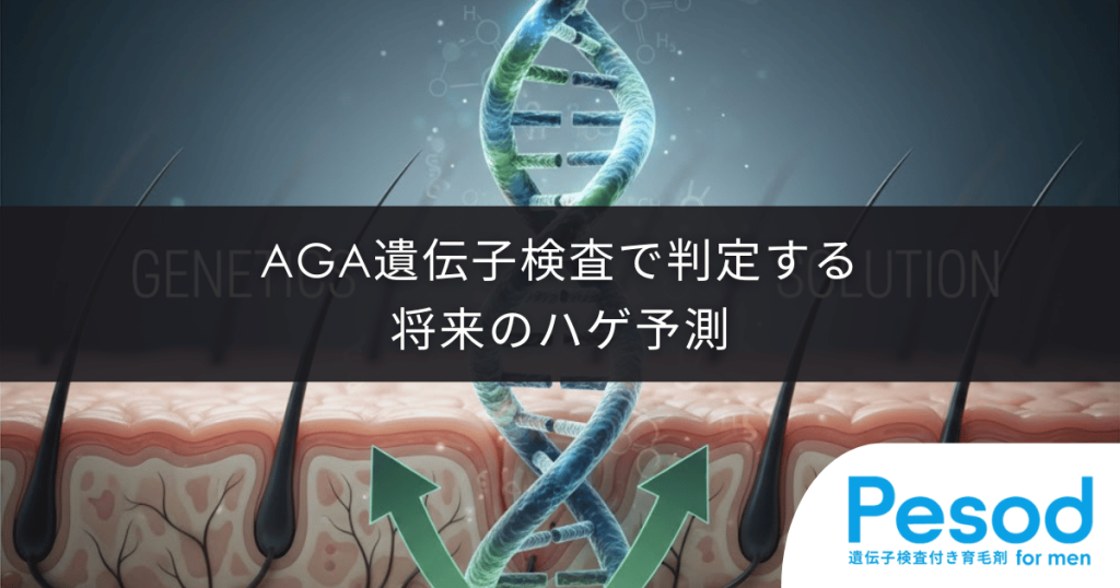 AGA遺伝子検査でわかること｜CAGリピート数で判定する将来のハゲ予測
