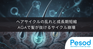 ヘアサイクルの乱れと成長期短縮｜AGAで髪が育たずに抜けるサイクルの崩壊
