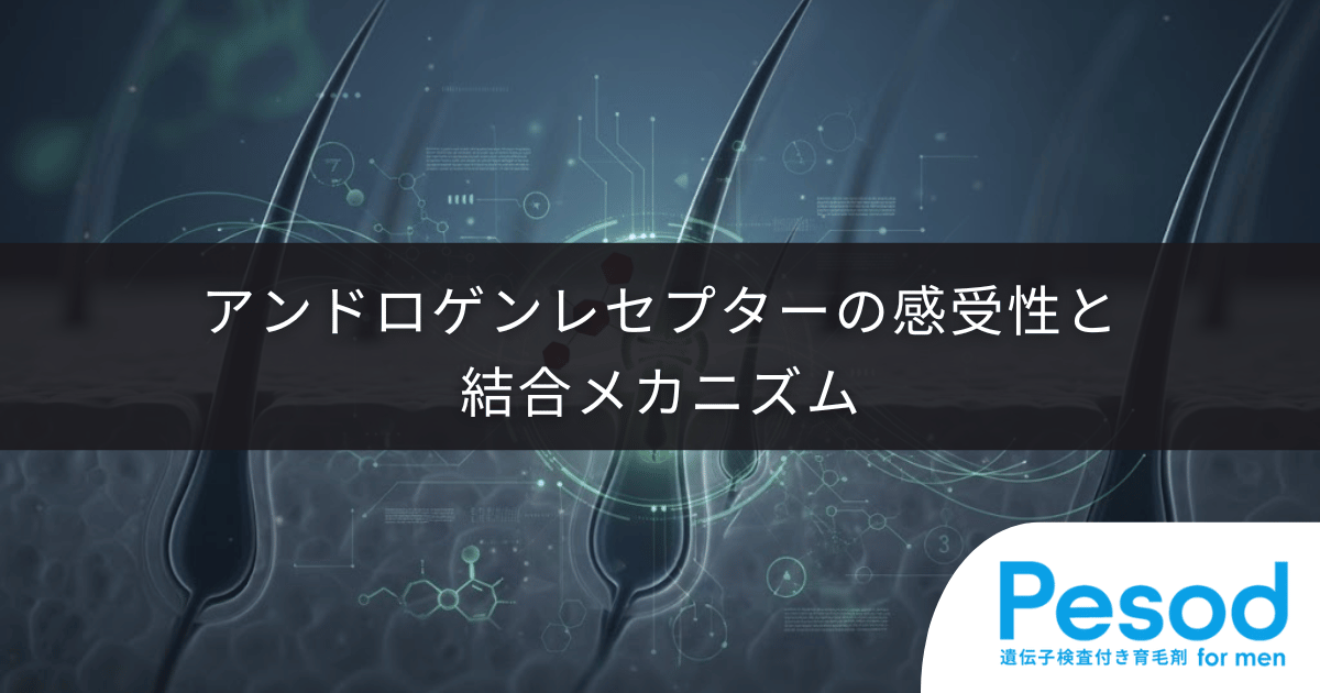 アンドロゲンレセプターの感受性と結合メカニズム｜DHTを受け取り脱毛スイッチを押す受容体