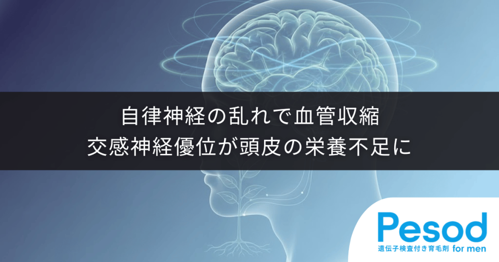 自律神経の乱れによる血管収縮｜交感神経優位が頭皮の栄養不足を招く理由