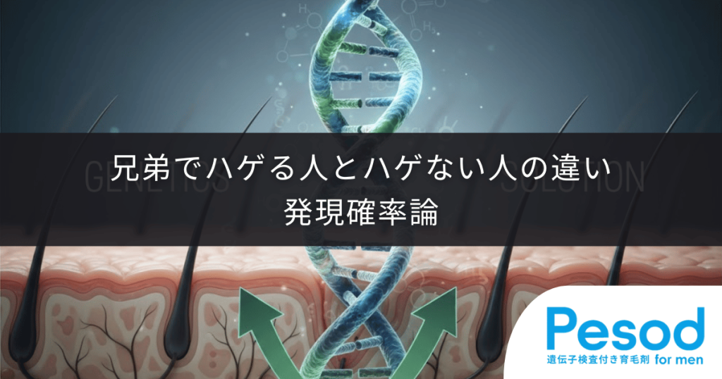 兄弟でハゲる人とハゲない人の違い｜遺伝子の組み合わせと発現の確率論
