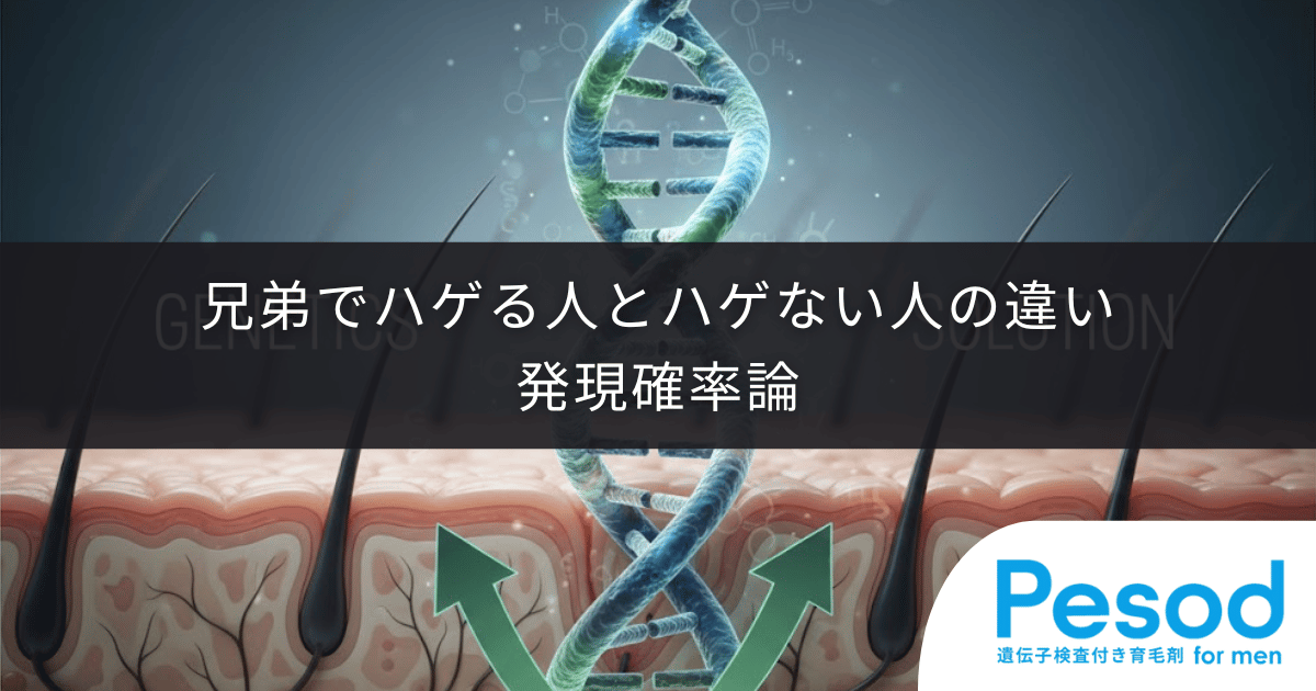 兄弟でハゲる人とハゲない人の違い|遺伝子の組み合わせと発現の確率論