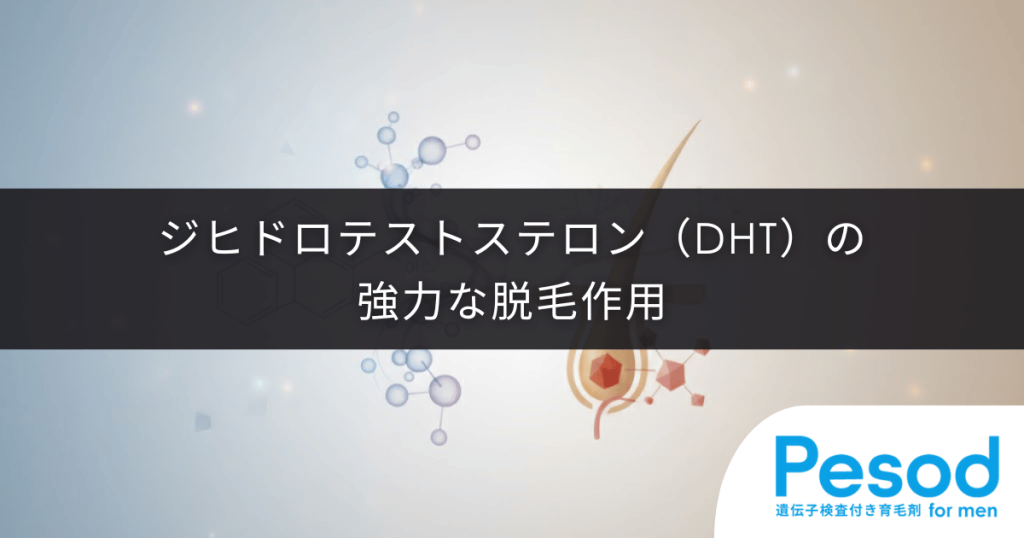 ジヒドロテストステロン（DHT）の強力な脱毛作用｜通常の男性ホルモンより受容体結合力が強い理由