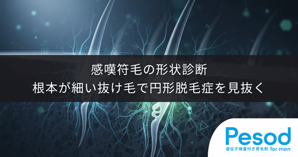 感嘆符毛（ビックリマーク毛）の形状診断｜根本が細い抜け毛から円形脱毛症を見抜く