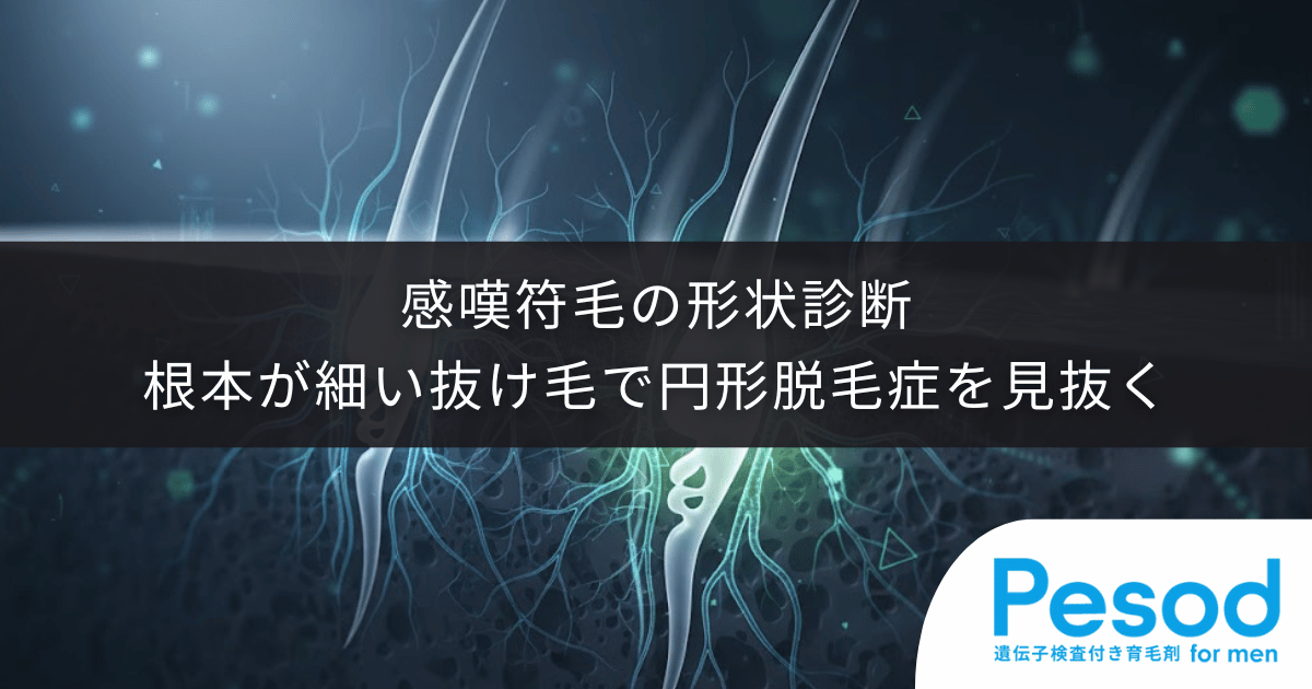 感嘆符毛（ビックリマーク毛）の形状診断｜根本が細い抜け毛から円形脱毛症を見抜く