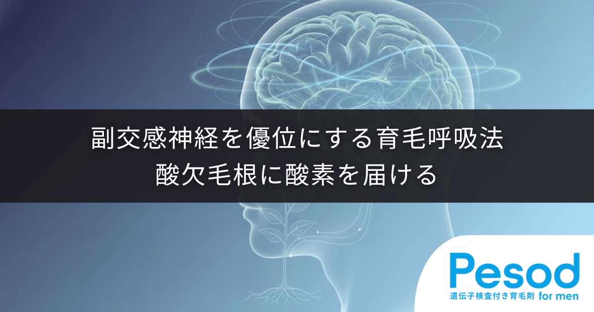 副交感神経を優位にする育毛呼吸法｜酸欠した毛根に酸素を届けるリラックス習慣