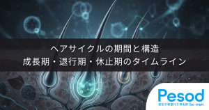 ヘアサイクルの期間と構造｜成長期・退行期・休止期の正常なタイムライン