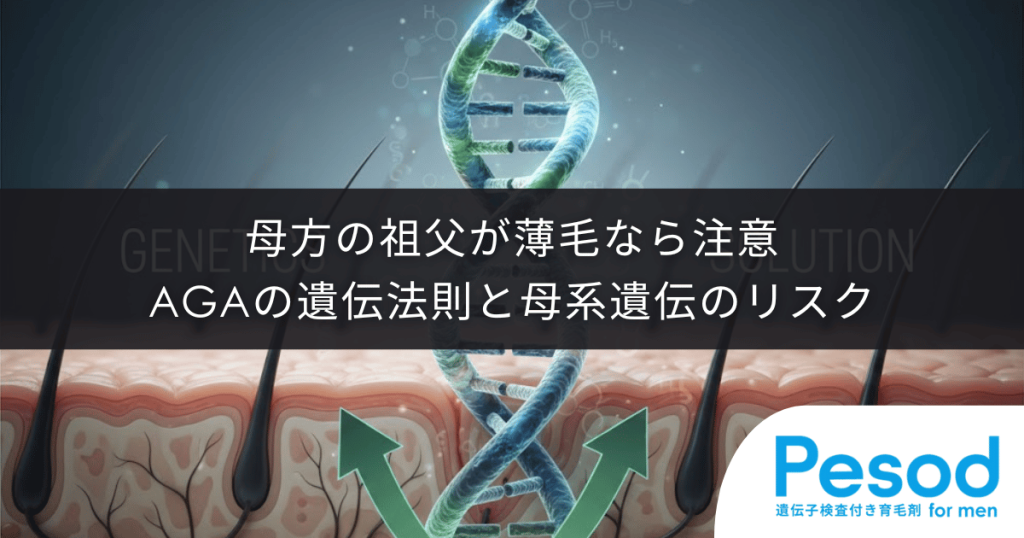 母方の祖父が薄毛なら注意｜X染色体が運ぶAGAの遺伝法則と母系遺伝のリスク