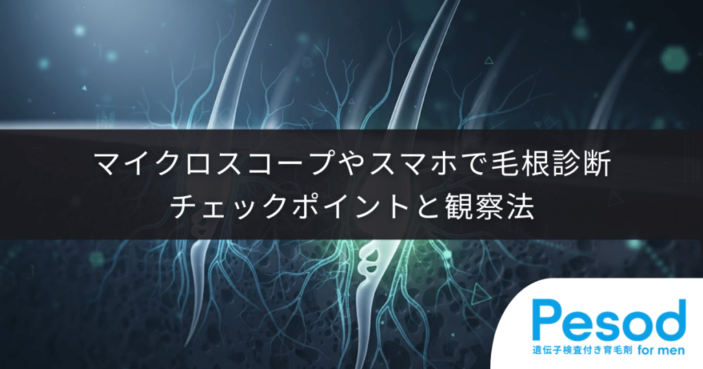 マイクロスコープやスマホで毛根診断｜拡大画像で見るべきチェックポイントと観察法