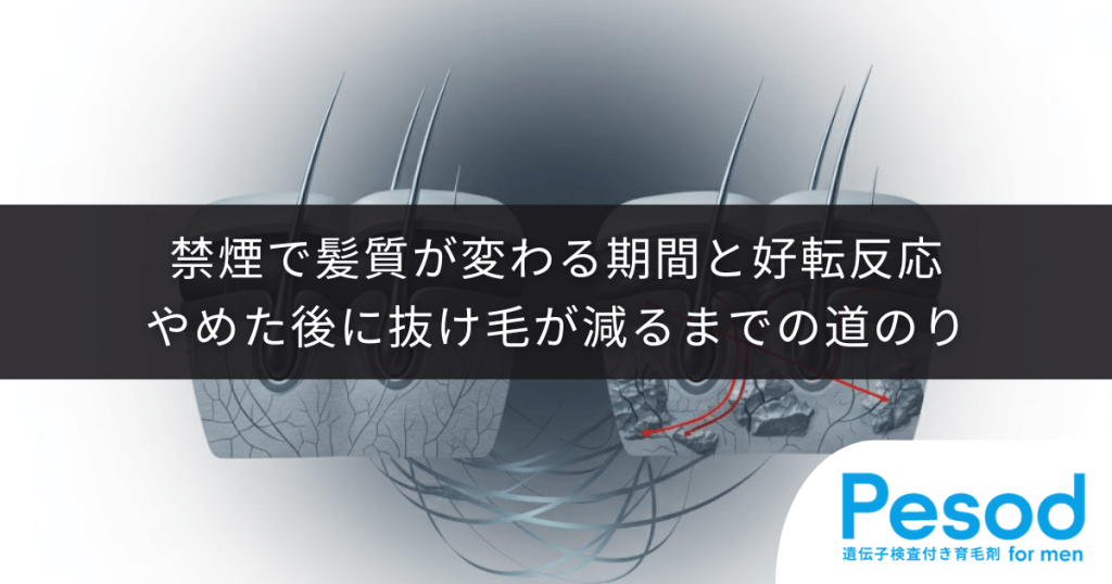 禁煙で髪質が変わる期間と好転反応｜やめた後に抜け毛が減るまでの道のり