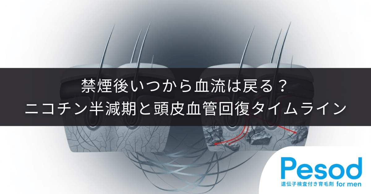 禁煙後いつから血流は戻る?ニコチンの半減期と頭皮血管の回復タイムライン