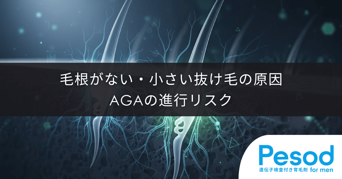 毛根がない・小さい抜け毛の原因|委縮した毛球が示すAGAの進行リスク