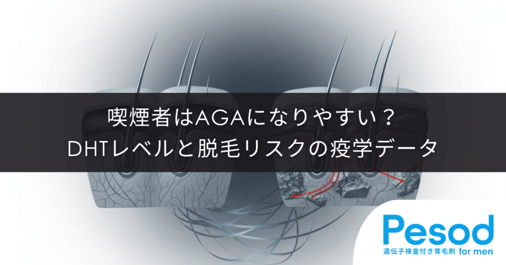 喫煙者はAGAになりやすい？DHTレベルと脱毛リスクに関する疫学データ分析