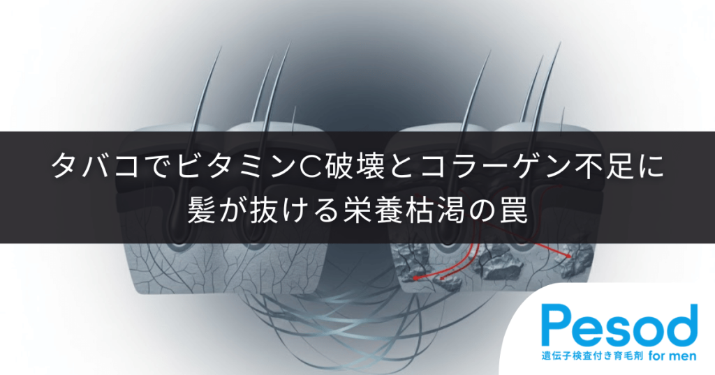 タバコによるビタミンC破壊とコラーゲン不足｜血管が脆くなり髪が抜ける栄養枯渇の罠