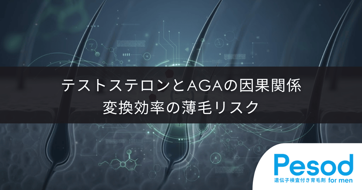 テストステロンとAGAの因果関係｜ホルモン量ではなく変換効率が招く薄毛のリスク