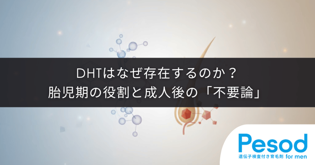 DHTはなぜ存在するのか？胎児期の重要な役割と成人後の「不要論」に対する医学的見解