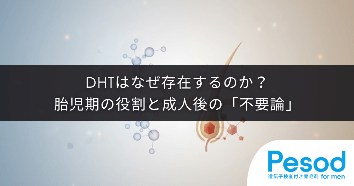 DHTはなぜ存在するのか？胎児期の重要な役割と成人後の「不要論」に対する医学的見解