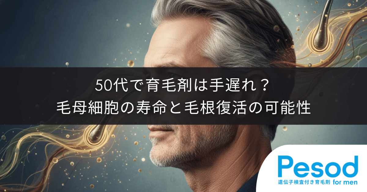 50代で育毛剤は手遅れか？毛母細胞の寿命と毛根復活の可能性を徹底解説