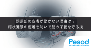 頭頂部の皮膚が動かない理由は？帽状腱膜の癒着を防いで髪の栄養を守る技