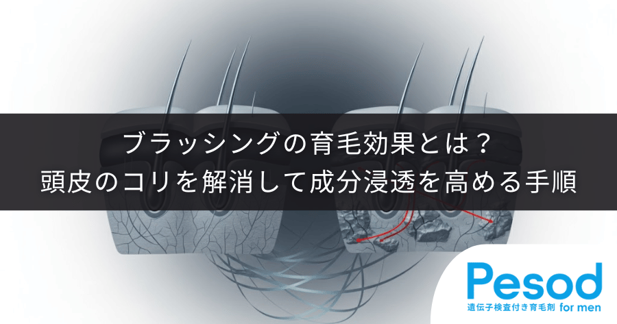 ブラッシングの育毛効果とは？頭皮のコリを解消して成分浸透を高める手順