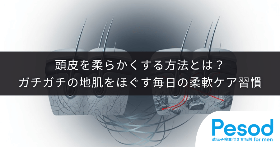 頭皮を柔らかくする方法とは？ガチガチの地肌をほぐす毎日の柔軟ケア習慣