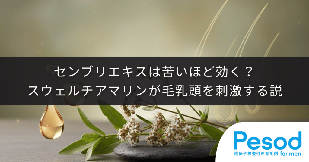 センブリエキスは苦いほど効く？有効成分スウェルチアマリンが毛乳頭を刺激する説