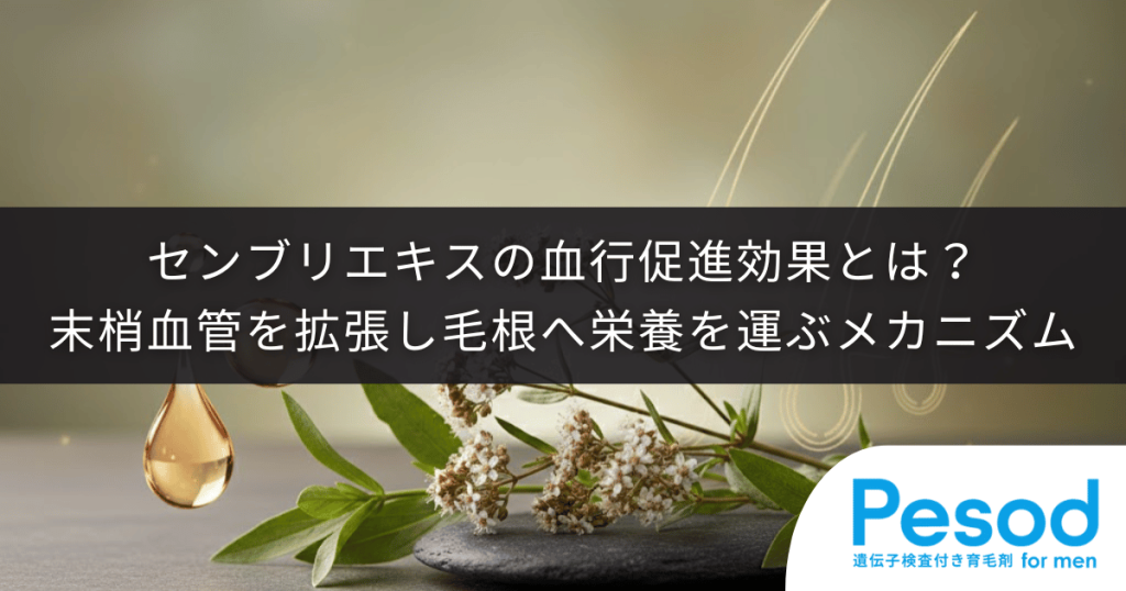 センブリエキスの血行促進効果とは？末梢血管を拡張し毛根へ栄養を運ぶメカニズム