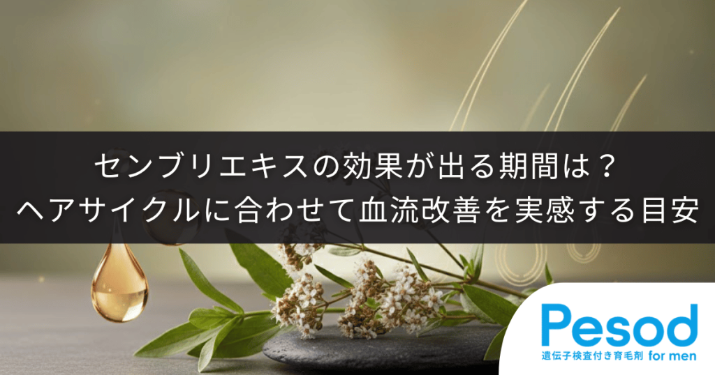 センブリエキスの効果が出る期間は？ヘアサイクルに合わせて血流改善を実感する目安