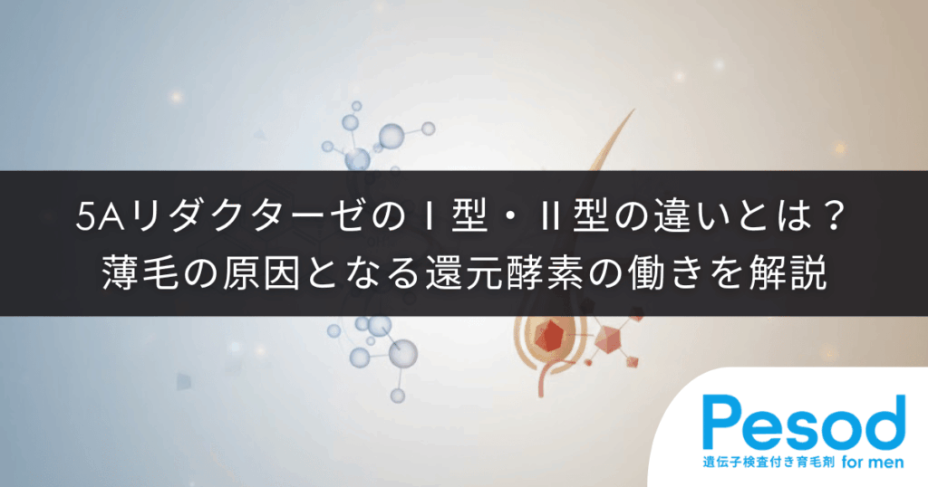5αリダクターゼのⅠ型・Ⅱ型の違いとは？薄毛の原因となる還元酵素の働きを解説