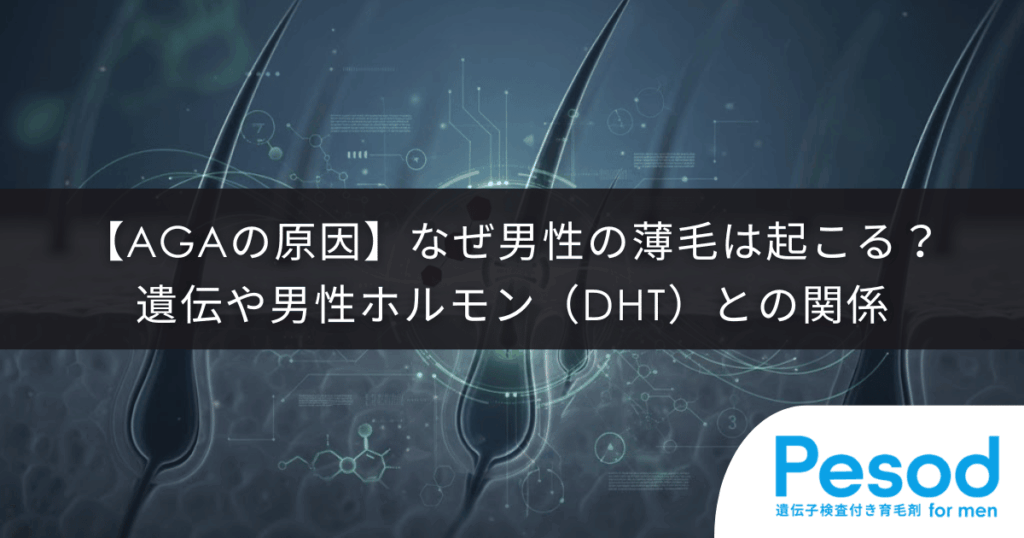 【AGAの原因】なぜ男性の薄毛は起こる？遺伝や男性ホルモン（DHT）との関係