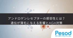 アンドロゲンレセプター（AR）の感受性とは？遺伝が薄毛に与える影響とAGA対策