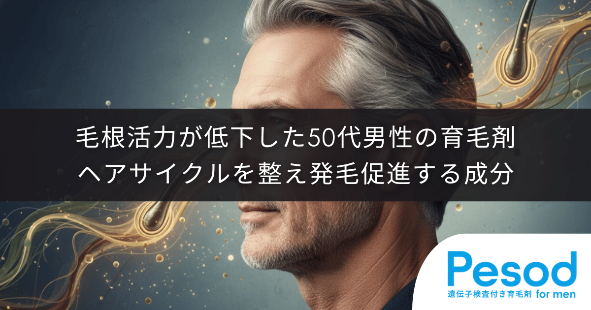 毛根の活力が低下した50代男性の育毛剤｜休止期のヘアサイクルを整え発毛促進する成分