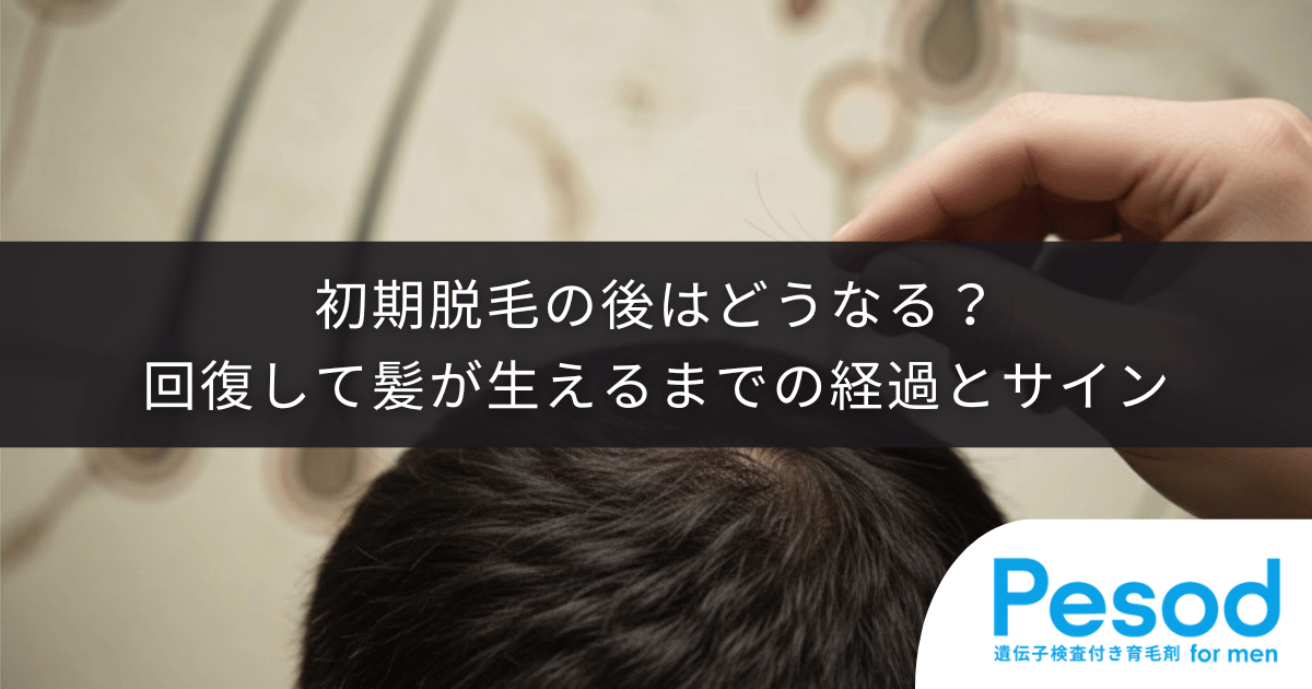 初期脱毛の後はどうなる？回復して髪が生えるまでの経過とサイン