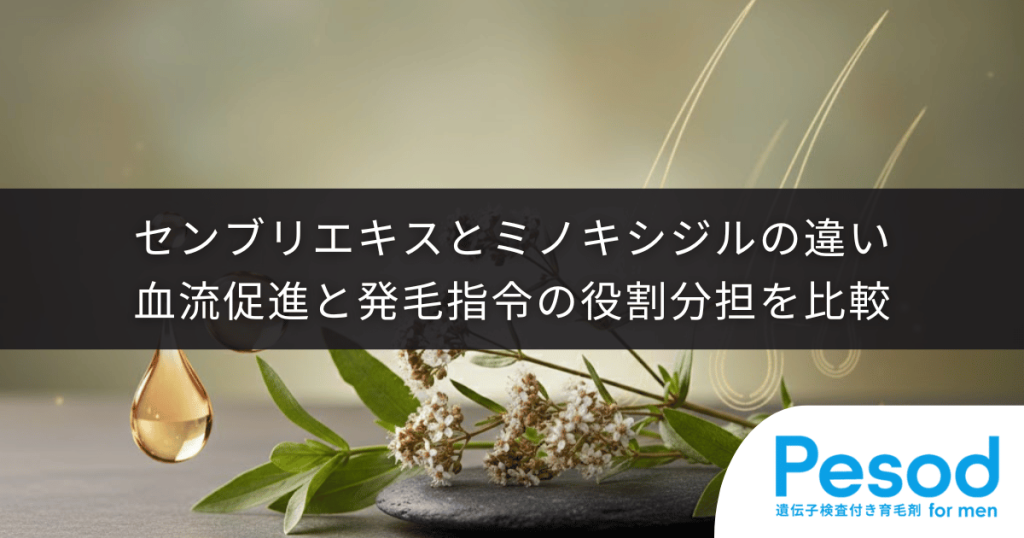 センブリエキスとミノキシジルの違い｜血流促進と発毛指令の役割分担を比較