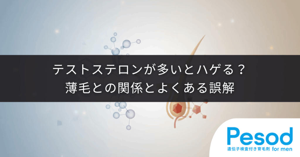 テストステロン（男性ホルモン）が多いとハゲる？薄毛との関係とよくある誤解