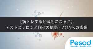 【筋トレすると薄毛になる？】テストステロンとDHTの関係・AGAへの影響の真実