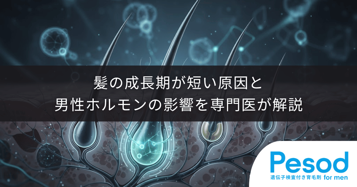 【AGAとヘアサイクルの関係】髪の成長期が短い原因と男性ホルモンの影響を専門医が解説