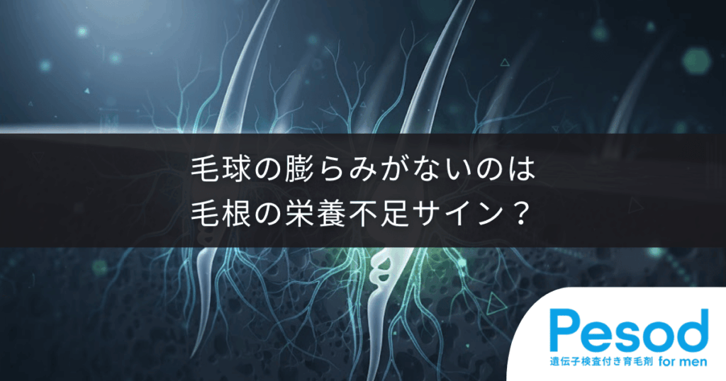 【毛球の膨らみがない】毛根の栄養不足サイン？血行不良による薄毛リスクと改善法
