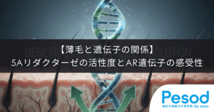 【薄毛と遺伝子の関係】5αリダクターゼの活性度とAR遺伝子（アンドロゲン受容体）の感受性