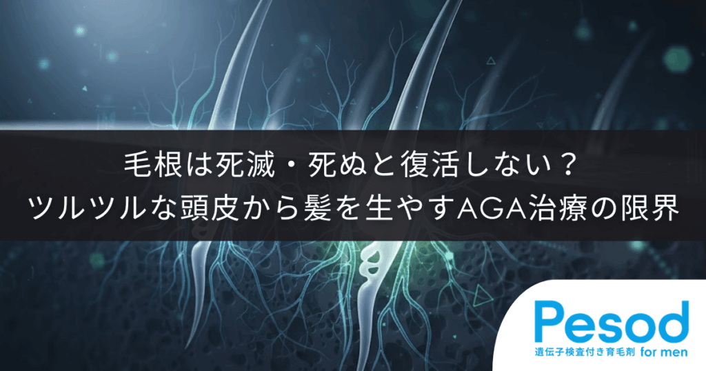 毛根は死滅・死ぬと復活しない？ツルツルな頭皮から髪を生やすAGA治療の限界と真実