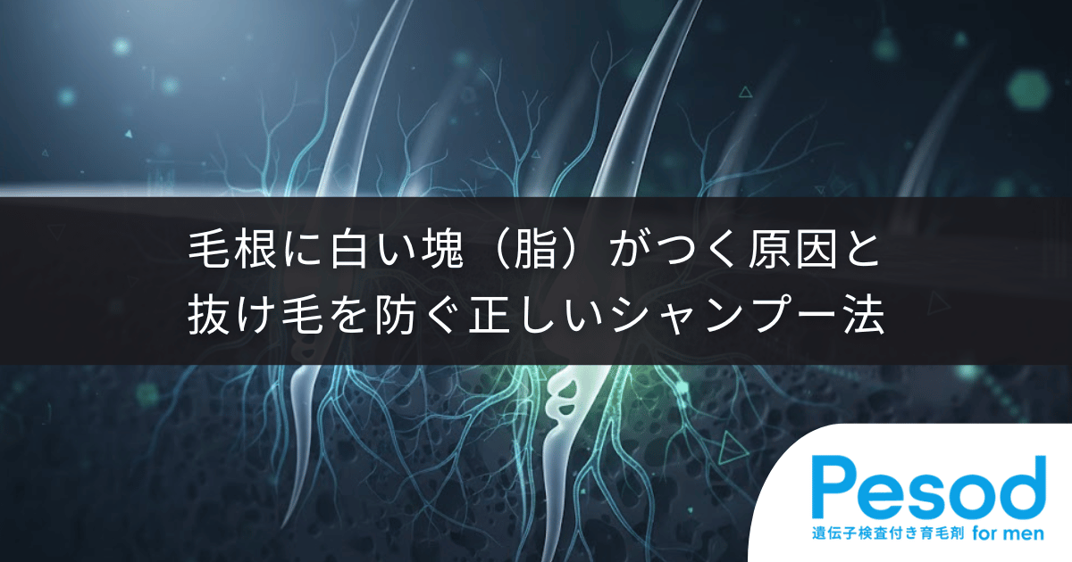 【抜け毛と皮脂】毛根に白い塊（脂）がつく原因と抜け毛を防ぐ正しいシャンプー法