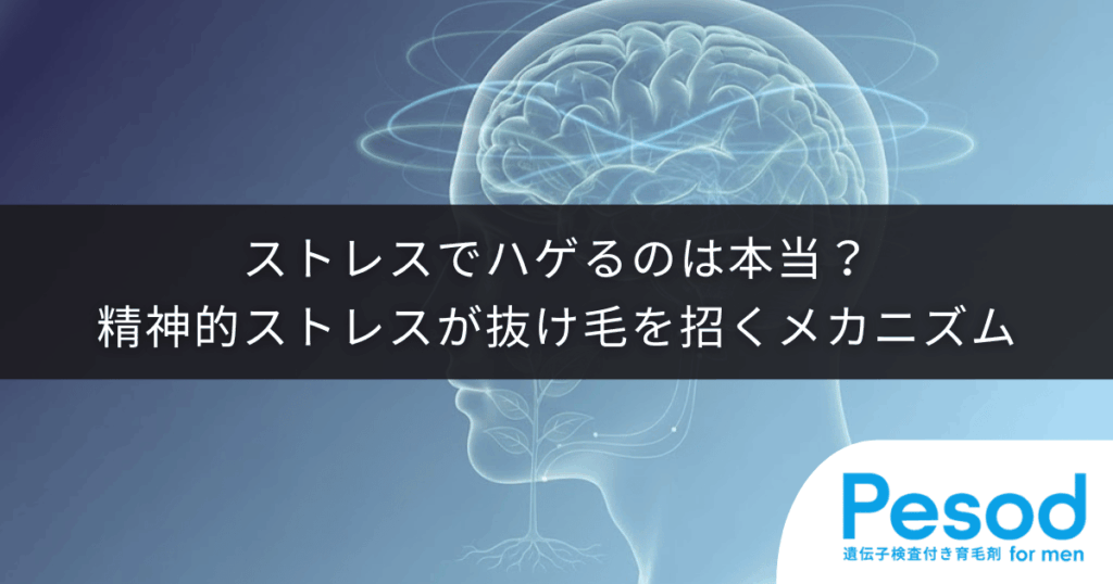 ストレスでハゲるのは本当？精神的ストレスが抜け毛を招くメカニズム