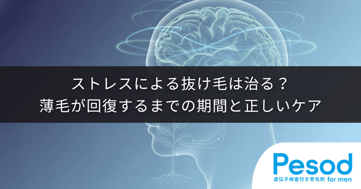 ストレスによる抜け毛は治る？薄毛が回復するまでの期間と正しいケア